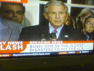 Bush Disaster