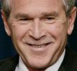 Bush