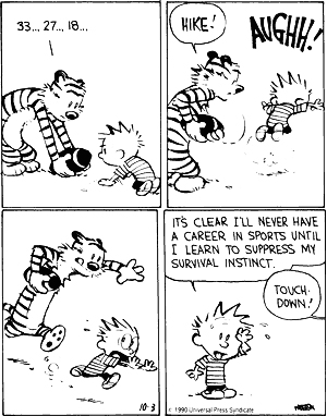 Calivn And Hobbes game