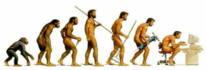 Evolution of Man