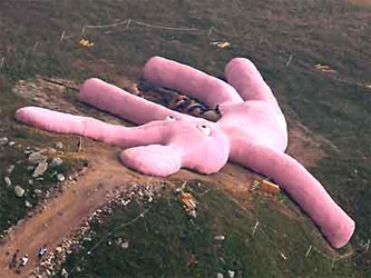 Giant Pink Bunny