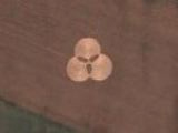 Crop Circles