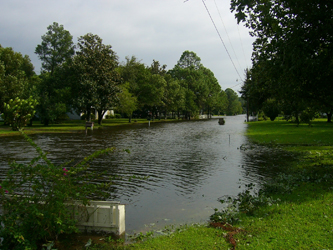 McCann's Wilma Ravaged Street