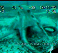 Giant Octopus Attacks Submarine